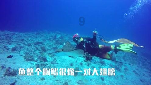荣耀战魂
