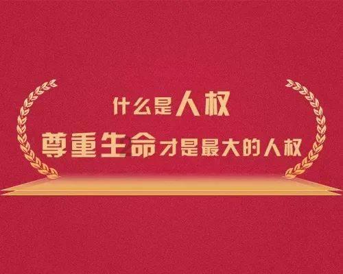阿凯历险记